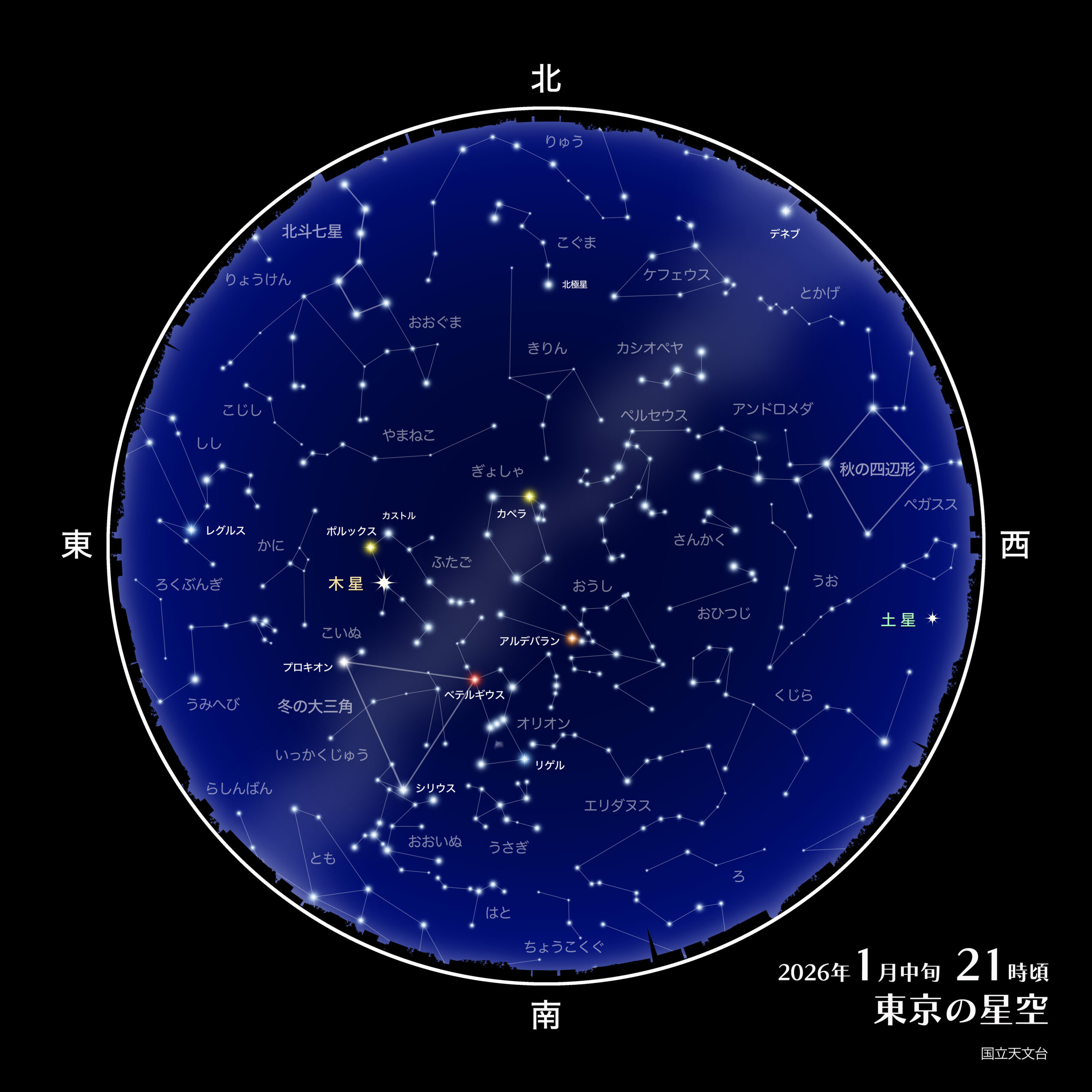 星空　希少　親株 2026年1月の星空】木星が一晩中見える！冬の見どころまとめ | 深夜の